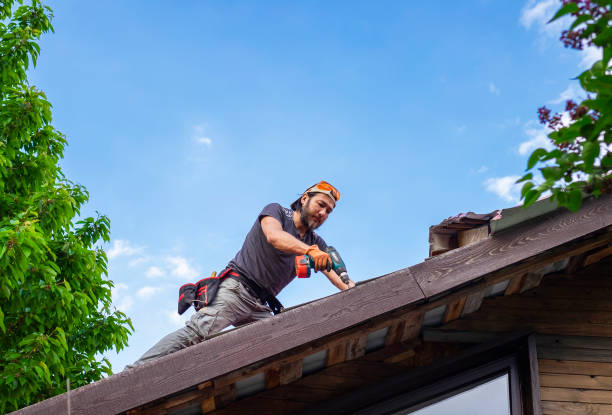 Best Skylight Installation and Repair  in Manchester, VA